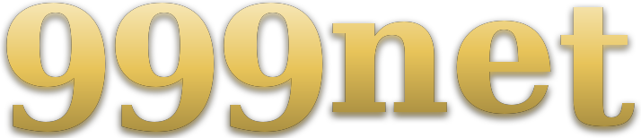 999net logo